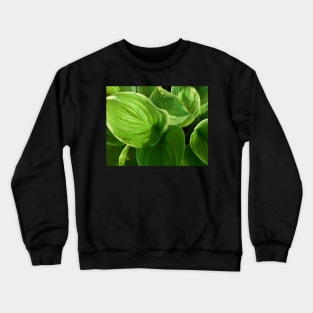 Hosta Summer Green Crewneck Sweatshirt